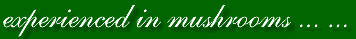 Edible mushrooms and herbal mushrooms